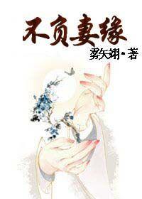 不负妻缘全文无删减版书包网
