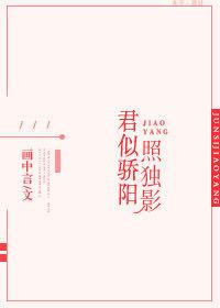 君似骄阳免费全文阅读