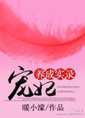 宠妃养成手册清穿TX