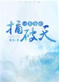 一不小心捅破天TXT