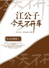 江公子今天不开车简介