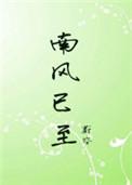 南风已至番外小包子
