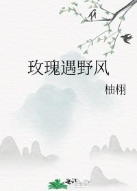 玫瑰遇野风简介