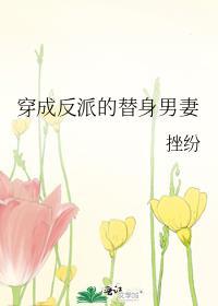 穿成反派替身妻晋江