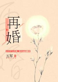 再婚全文加番外