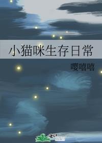 猫咪生活小视频