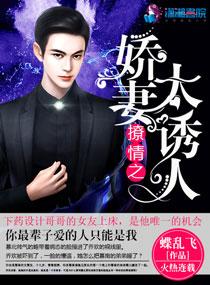 撩妻人怀全文免费阅读