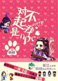 对不起我是个NPC