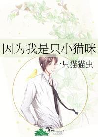 因为我是小猫逃出惊魂夜版