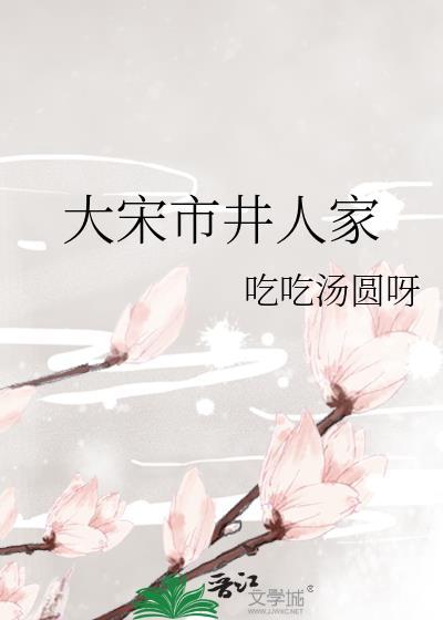 大宋市井人家讲的什么故事