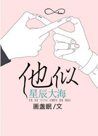 他似星辰大海免费阅读无防盗