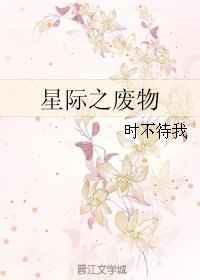 星际之废物完整版