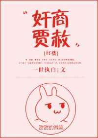 贾政贾赦原型