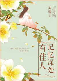 记忆深处有佳人txt百度