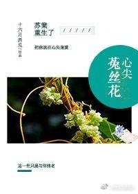 心尖菟丝花[重生