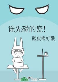 谁先碰的瓷!评价