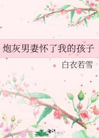 炮灰男妻怀了我的孩子一白衣若雪番外