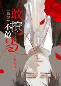 敢撩不敢当快穿晋江