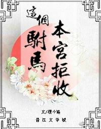 这个驸马有点怪