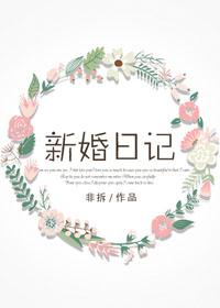 新婚日记居尼尔斯讲的什么