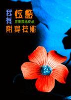 我有酷炫附身技能txt