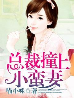 总裁撞上小蛮妻全文阅读