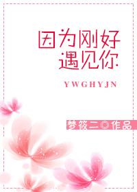 因为刚好遇见你是谁唱的