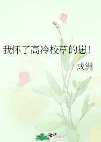 我怀了豪门alpha的崽