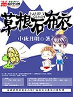 草根石布衣全文免费阅读