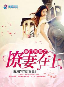 豪门撩婚之娇妻请上位大致内容