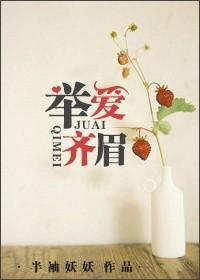举眉齐案出自谁的故事