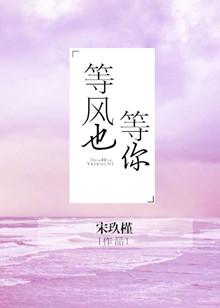 清欢无别事我在等风也等你
