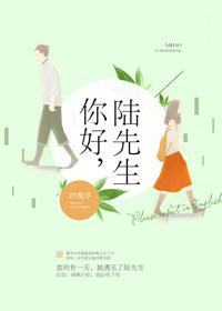 你好陆先生免费观看