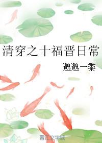 清穿之十福晋又怱悠人