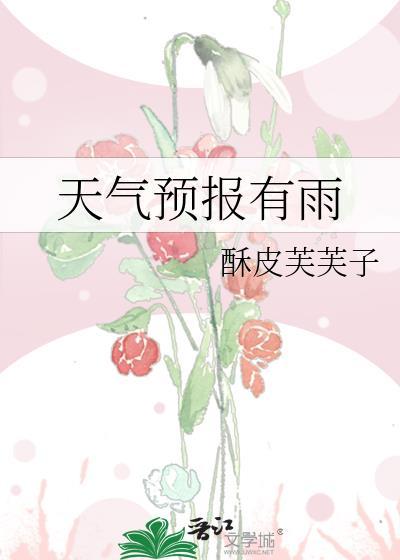 天气预报有雨歌词