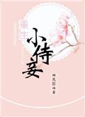 重生小妾经典推荐