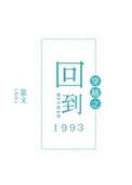 穿越之回到1993讲的什么