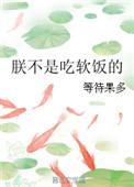 朕真不是皇上虾仁大秦全集