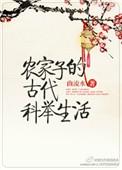 农家子的古代科举生活是bl吗