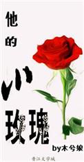 他的小玫瑰讲的什么