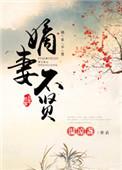 嫡妻不贤读后感