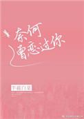 奈何曾恋过你微盘