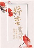 娇公主与莽驸马书包