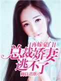 再嫁豪门之溺宠妻