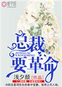 二婚成宠;总裁缠爱不休