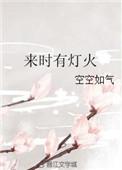 来时有灯火林疆番外婚后生活