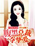 闪婚总裁惊艳全球