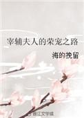 宰辅夫人的荣宠之路有声