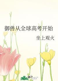 全球御兽我神级御兽师喜欢越塔杀