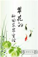 翠花的幸福生活免费阅读